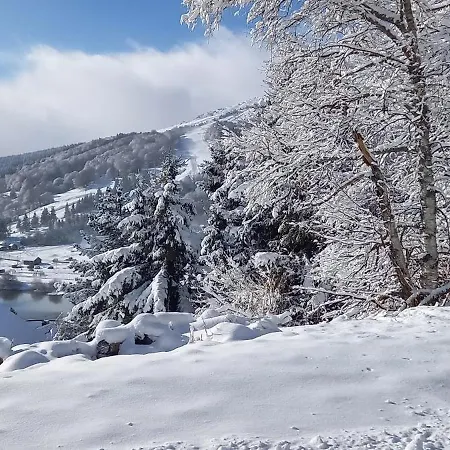Le 108c Les Matins Du Sancy Appartement *