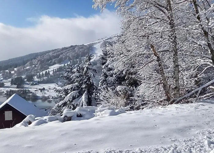 Le 108c Les Matins Du Sancy Appartement *